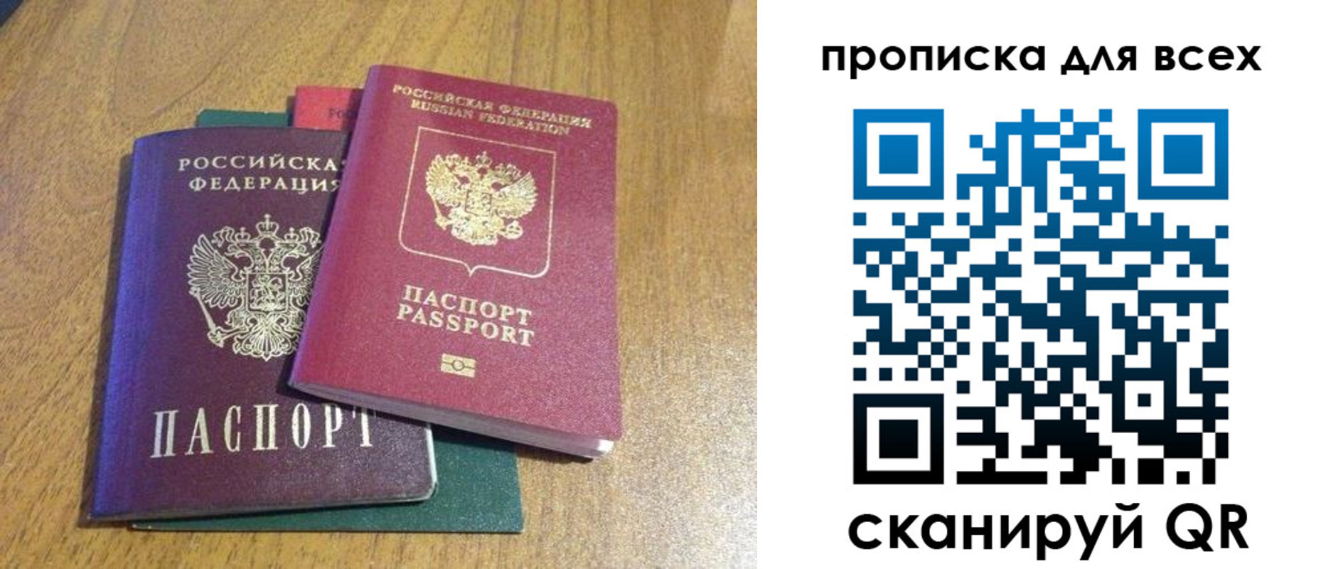 прописка гарантия в Оленегорске